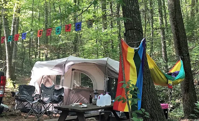 Fox Mountain Camp and Artist Retreat Picture 2