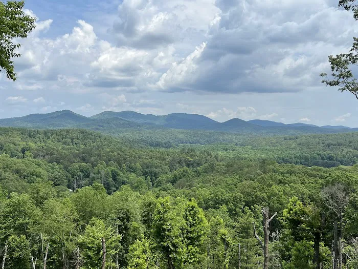 The Perfect Landing Picture 1