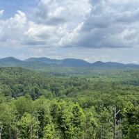 The Perfect Landing ico