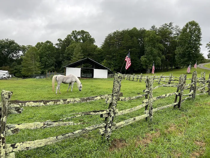 Skeenah Campground Picture 8