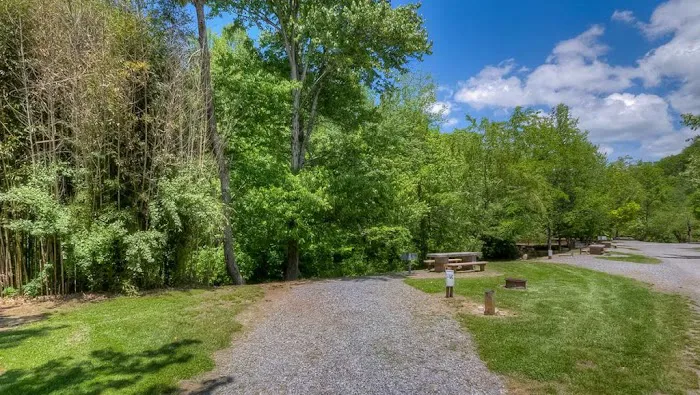 Toccoa Valley Campground Picture 6