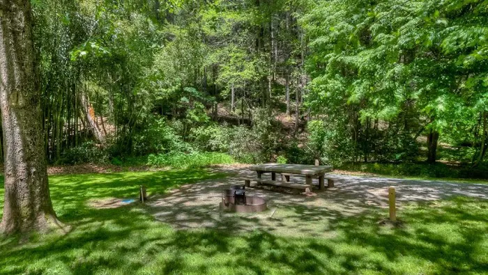 Toccoa Valley Campground Picture 10