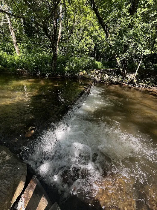 Toccoa Valley Campground Tubing Picture 7
