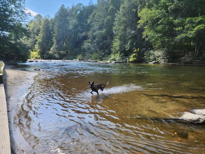 Toccoa River Sandy Bottoms Recreation Area Picture 2