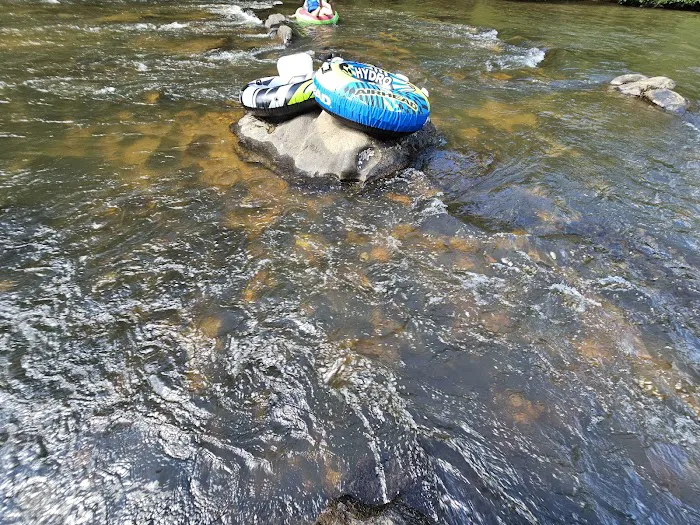 Toccoa River Sandy Bottoms Recreation Area Picture 9