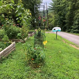 Hippie Hollow Campground Picture 1