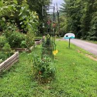 Hippie Hollow Campground ico