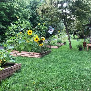 Hippie Hollow Campground Picture 3