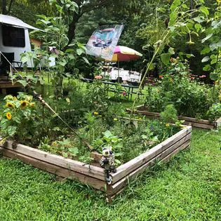 Hippie Hollow Campground Picture 4