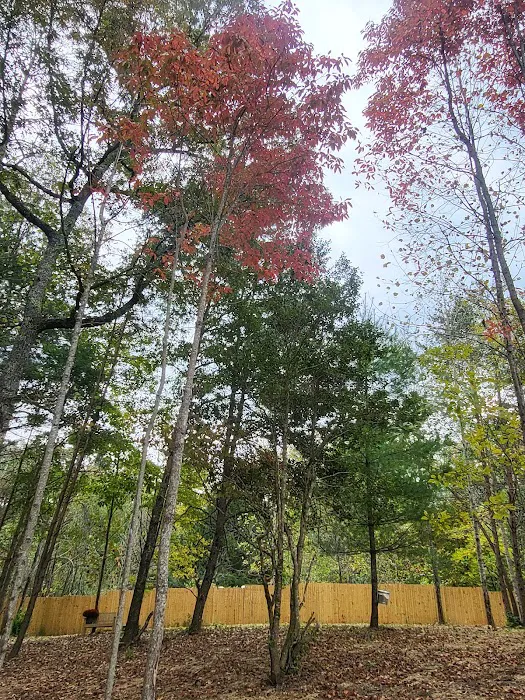 Murphy RV Camping LLC Picture 8