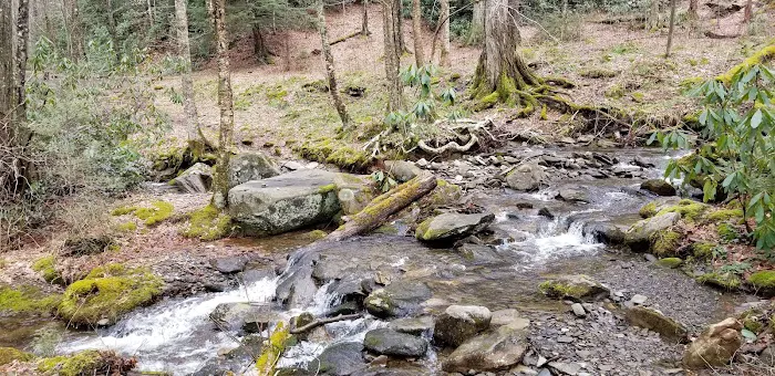 Backcountry Campsite #28 Picture 5