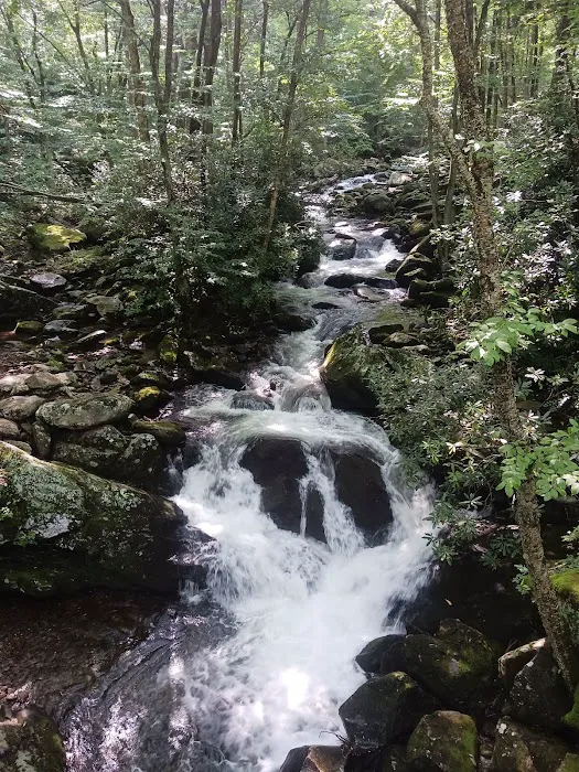 Backcountry Campsite #28 Picture 2