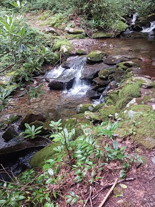 Backcountry Campsite #28 Picture 6