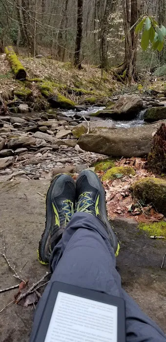 Backcountry Campsite #28 Picture 3