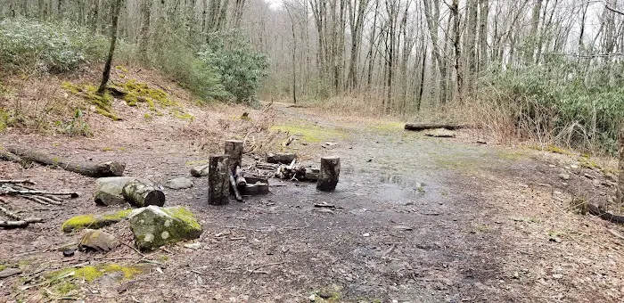 Backcountry Campsite #28 Picture 1