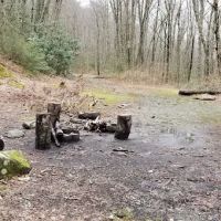 Backcountry Campsite #28 ico