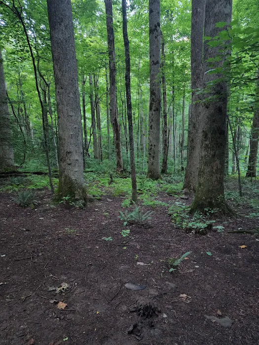 Backcountry Camp 21 Picture 5