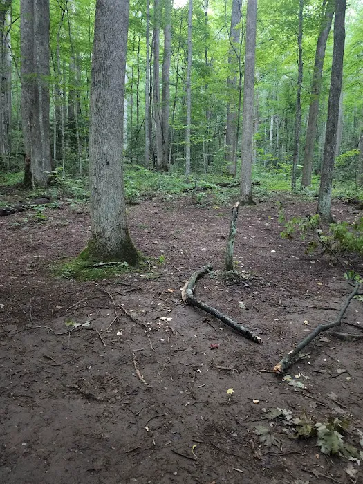 Backcountry Camp 21 Picture 2
