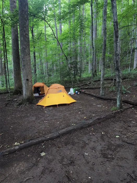 Backcountry Camp 21 Picture 4