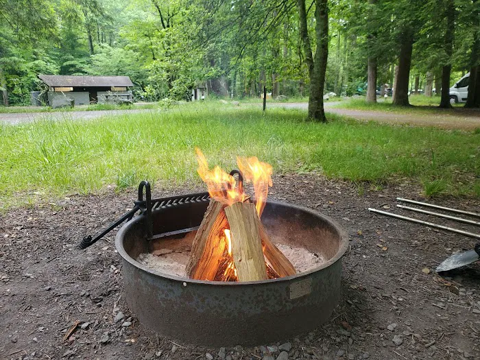 Elkmont Campground Picture 6
