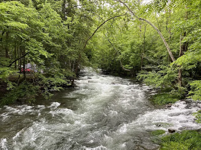 Elkmont Campground Picture 4