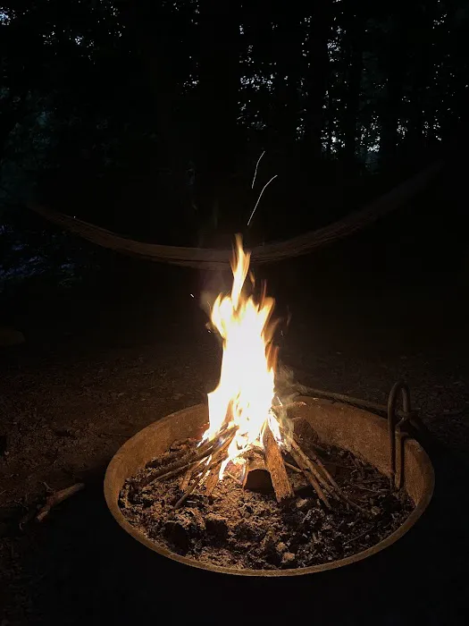 Elkmont Campground Picture 7