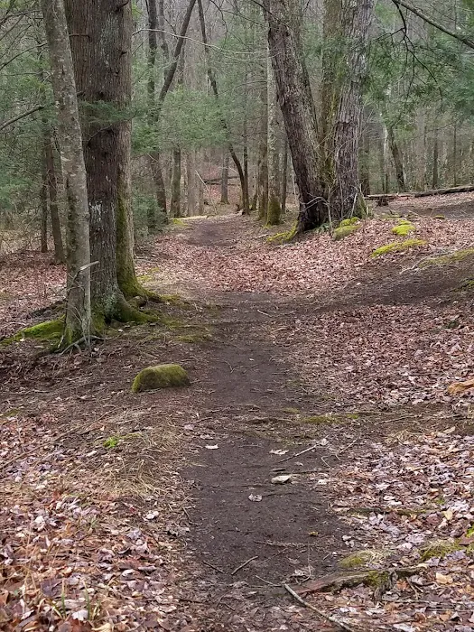 Backcountry Camp 20 Picture 2