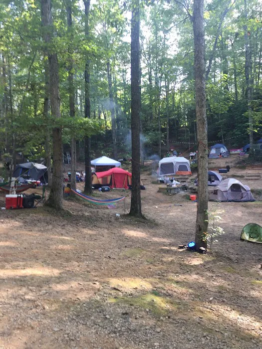 Camp Reggae Picture 3