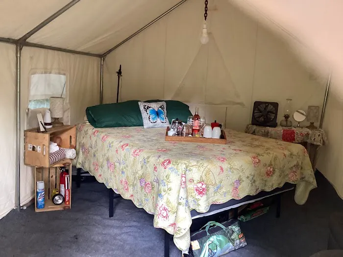 Winedrops Creekside Camping Picture 4