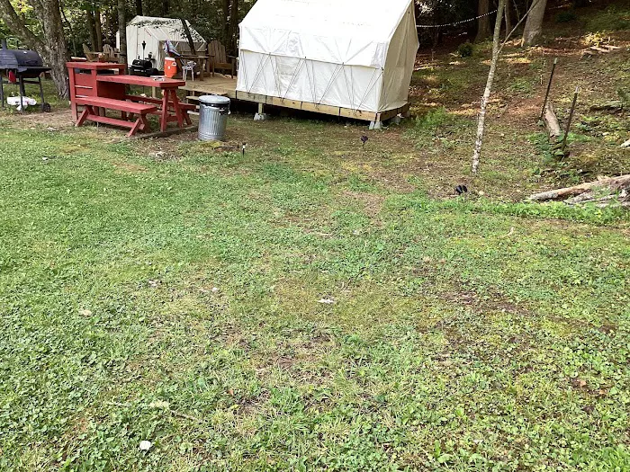 Winedrops Creekside Camping Picture 8