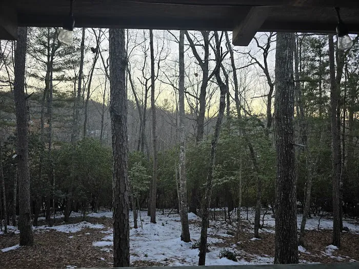 Hillside Hideaway Picture 2