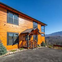Million Dollar View Luxury Cabin ico