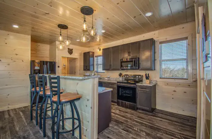 Million Dollar View Luxury Cabin Picture 2