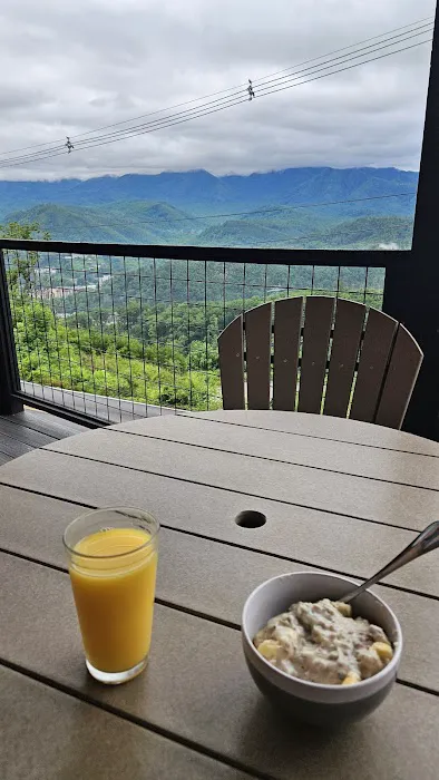 Mountain Air Luxury Cabin Picture 7