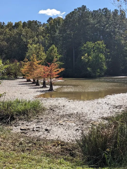 Rural Retreat Campground Picture 4