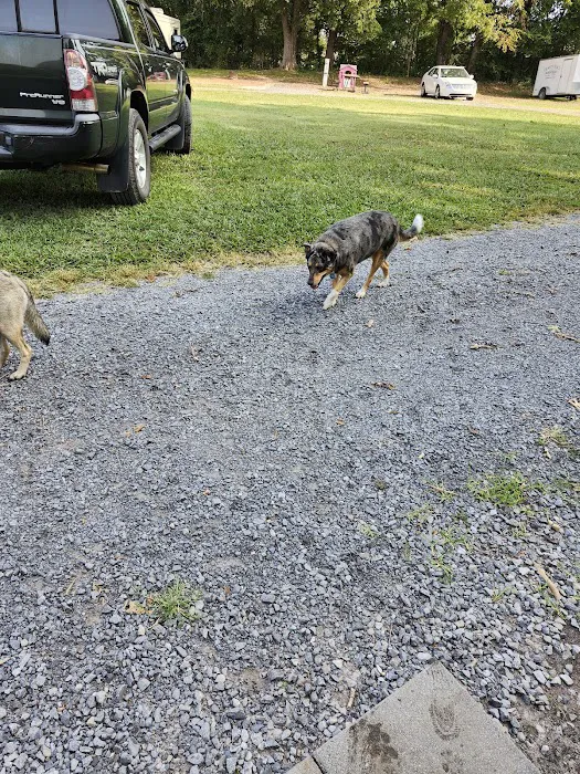 Rural Retreat Campground Picture 10