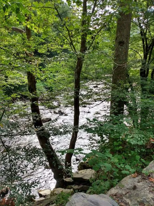 2 Rivers RV Park Picture 3