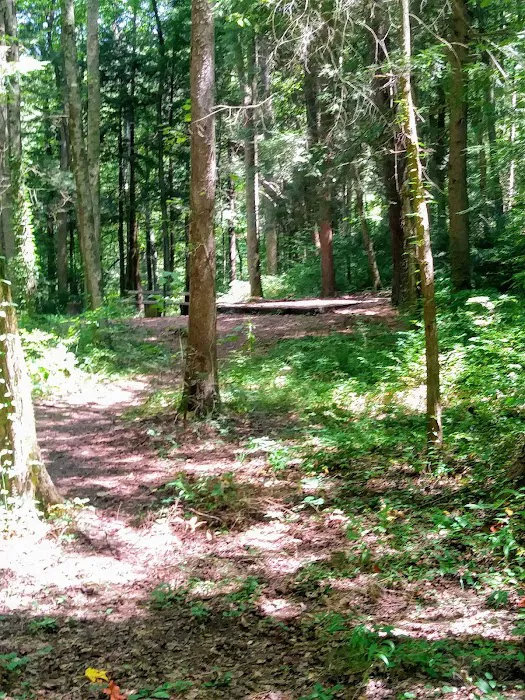 Lost Creek Recreation Area Picture 9