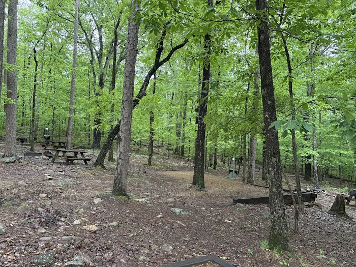 Ocoee Campin' Picture 3