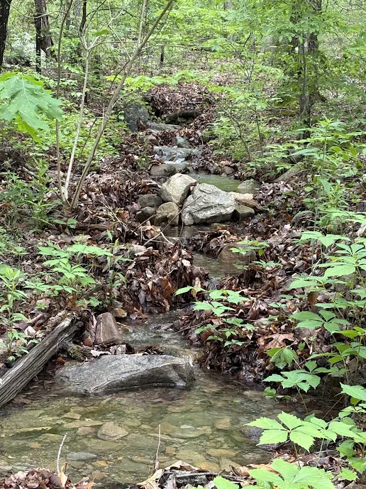 Ocoee Campin' Picture 5