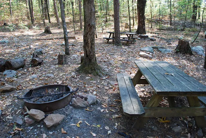 Ocoee Campin' Picture 7