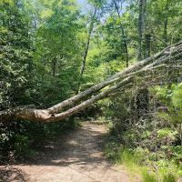 Chilhowee Recreation Area ico