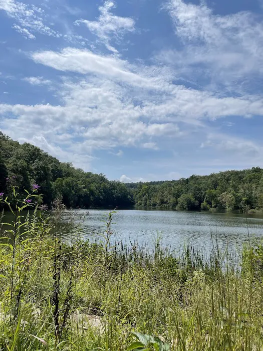 Chilhowee Recreation Area Picture 8