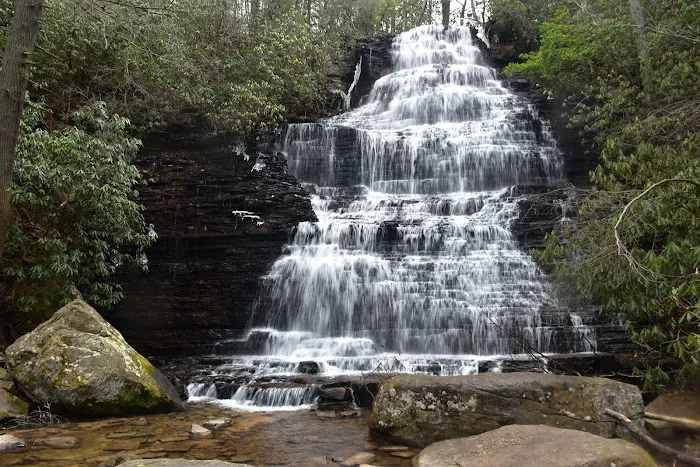 Chilhowee Recreation Area Picture 2