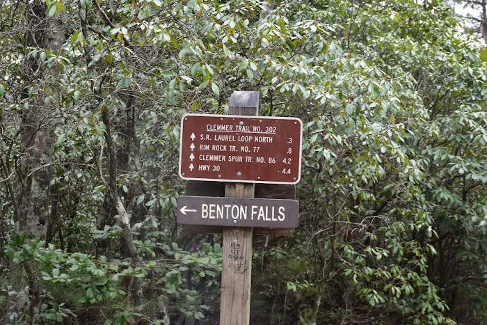 Chilhowee Recreation Area Picture 4