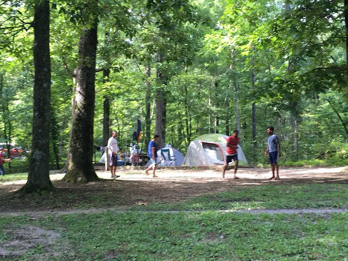 Chilhowee Campground Picture 8