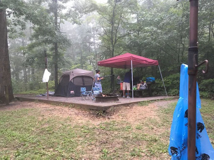 Chilhowee Campground Picture 3