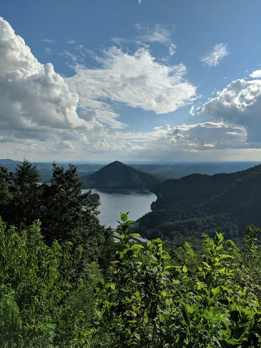 Chilhowee Campground Picture 4