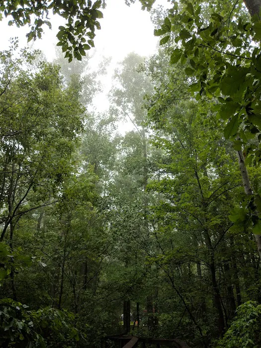 Chilhowee Campground Picture 5