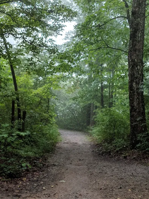 Chilhowee Campground Picture 10